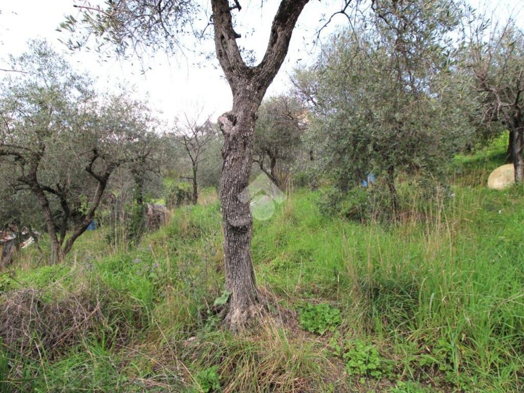 Terreno a Leivi in Via dei Caduti - Foto 4