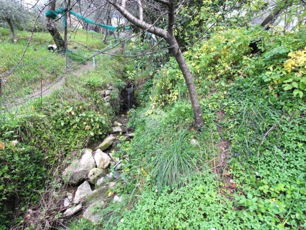 Terreno a Leivi in Via dei Caduti - Foto 5