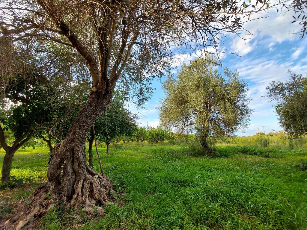 Rustico / casale a Augusta in Contrada Costa Pisone - Foto 5