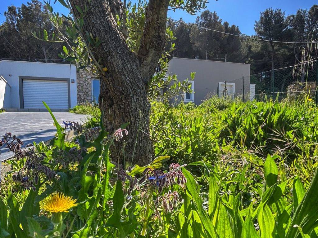 Villa a Livorno in Via Uberto Mondolfi - Foto 4