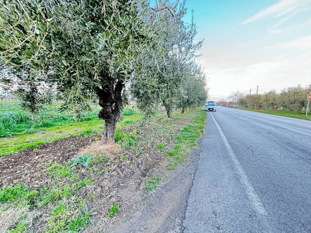 Terreno a Ortona in Strada Provinciale Ex SS538 Marrucina - Foto 2