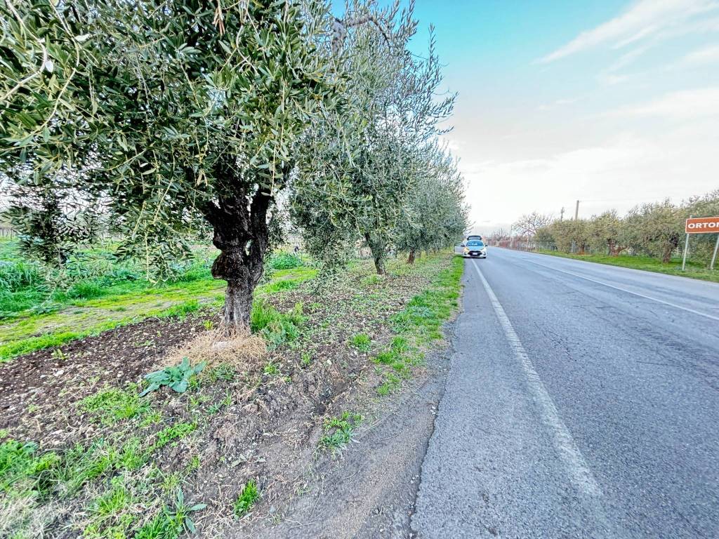 Terreno a Ortona in Strada Provinciale Ex SS538 Marrucina - Foto 3