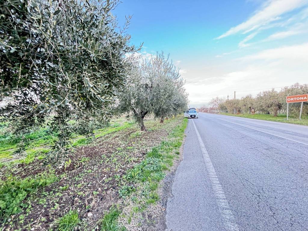 Terreno a Ortona in Strada Provinciale Ex SS538 Marrucina - Foto 4
