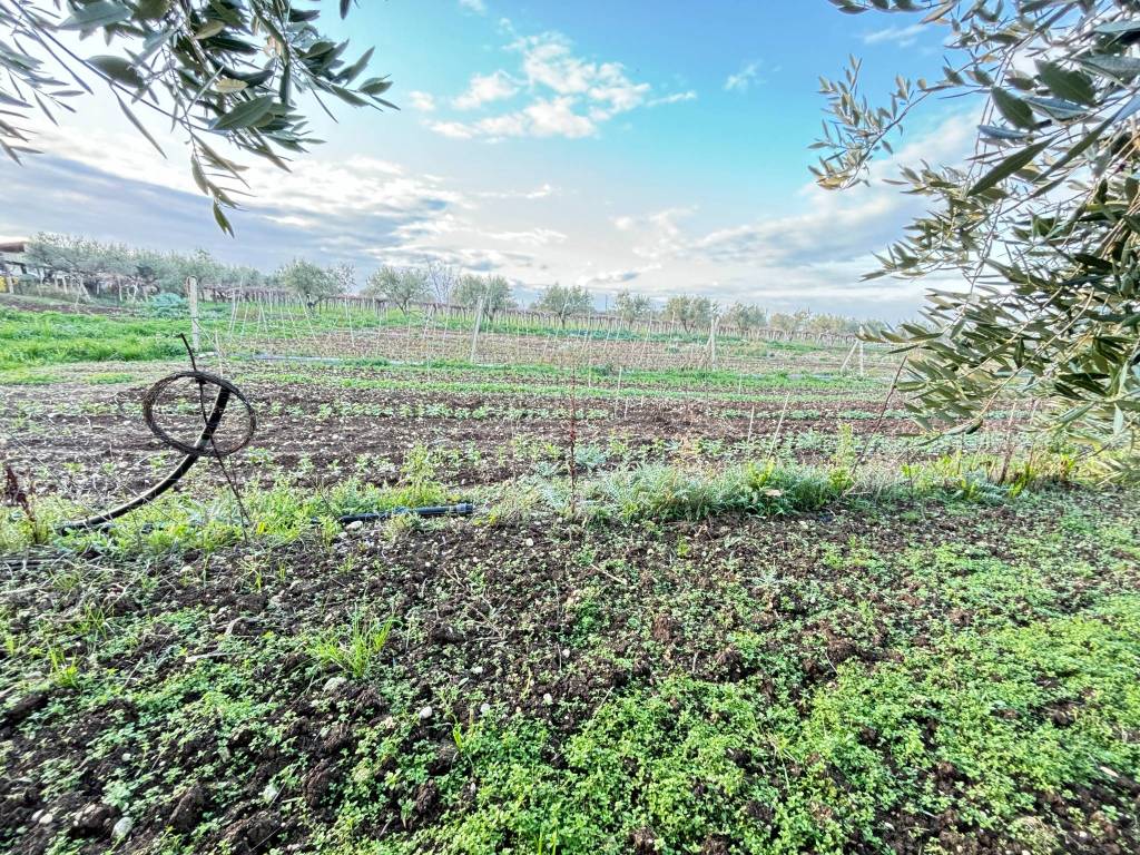 Terreno a Ortona in Strada Provinciale Ex SS538 Marrucina - Foto 5