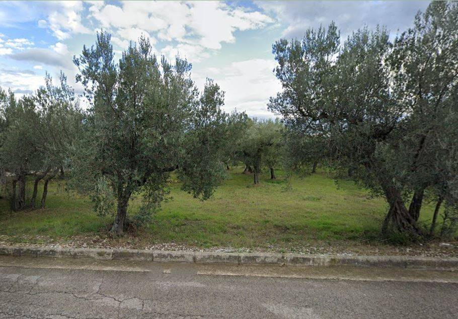 Terreno a Treglio in Via degli Ulivi - Foto 2