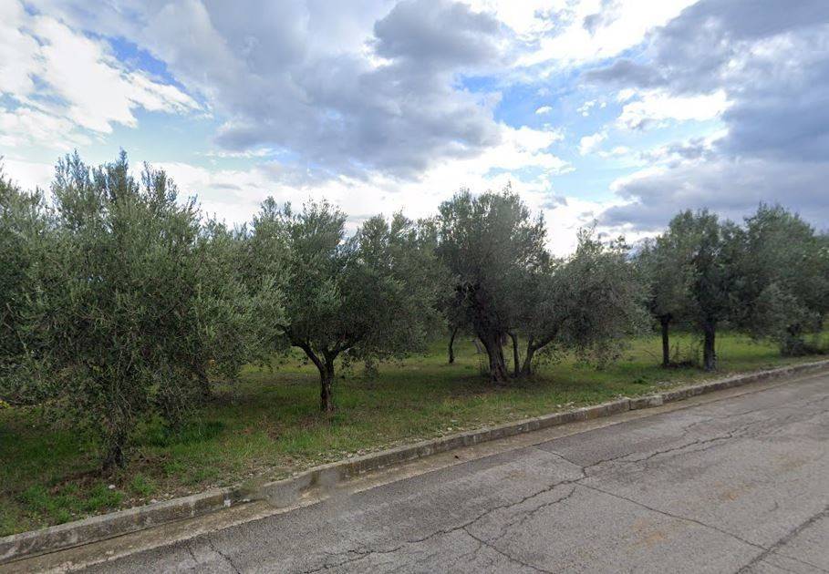 Terreno a Treglio in Via degli Ulivi - Foto 3