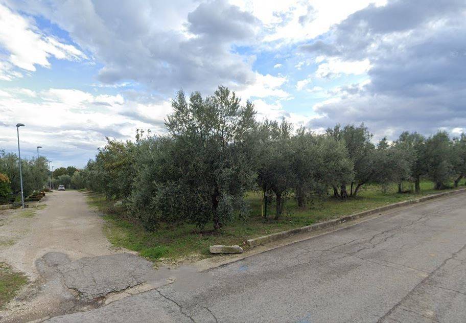 Terreno a Treglio in Via degli Ulivi - Foto 4
