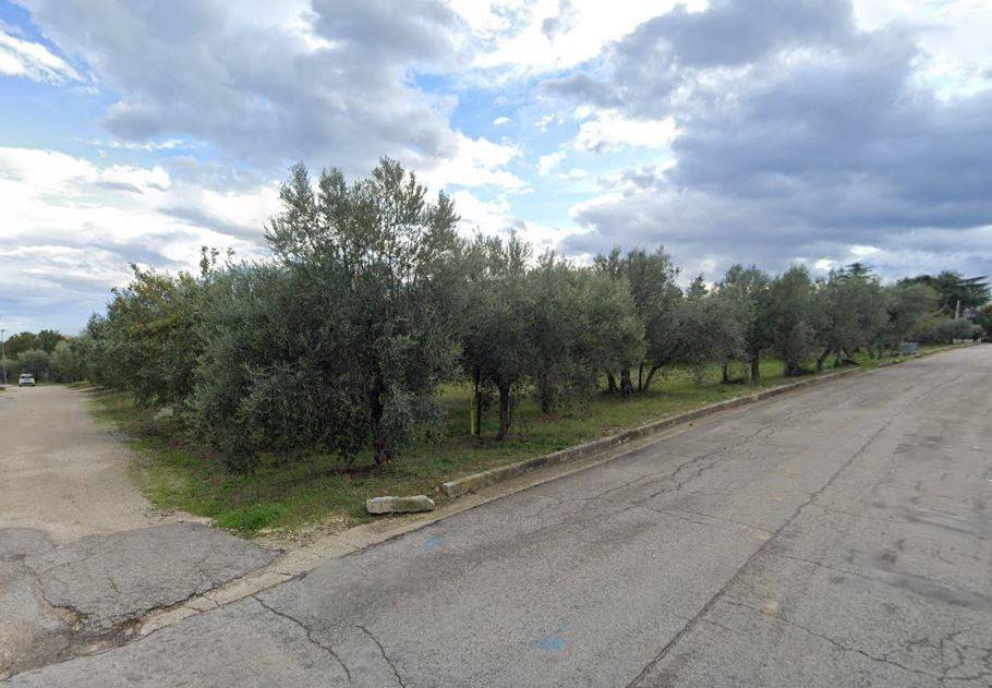 Terreno a Treglio in Via degli Ulivi - Foto 5