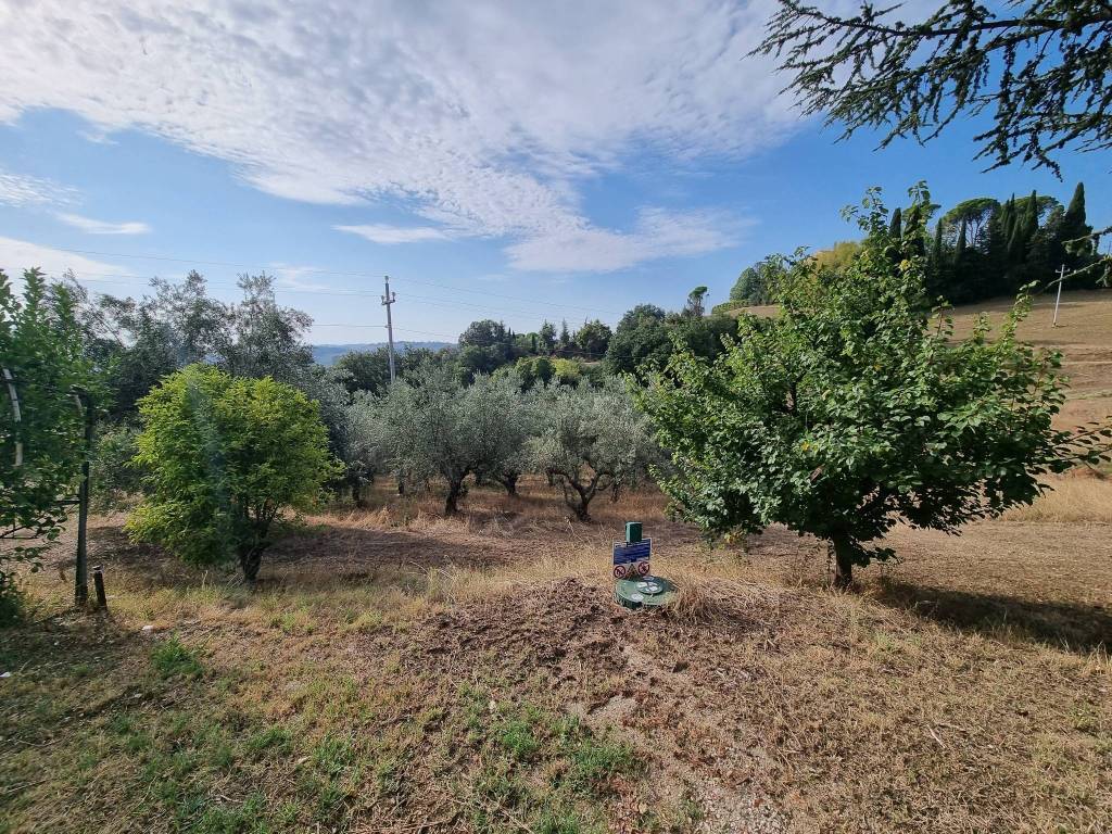 Terreno a Corridonia in Contrada Casciano - Foto 2