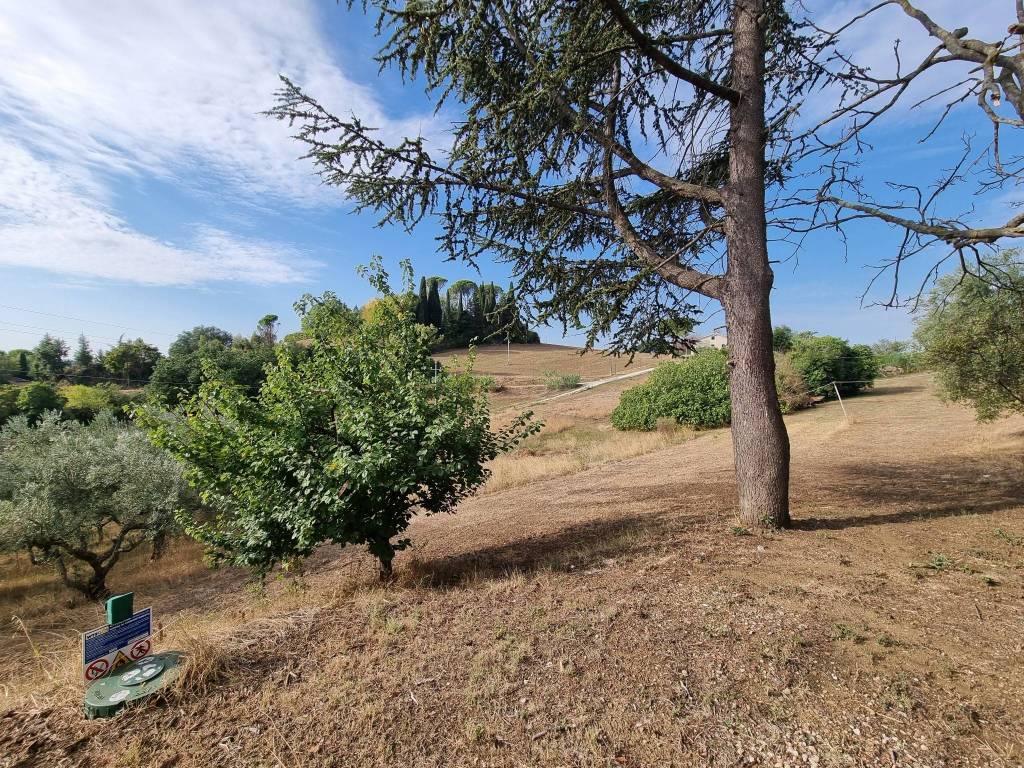 Terreno a Corridonia in Contrada Casciano - Foto 5