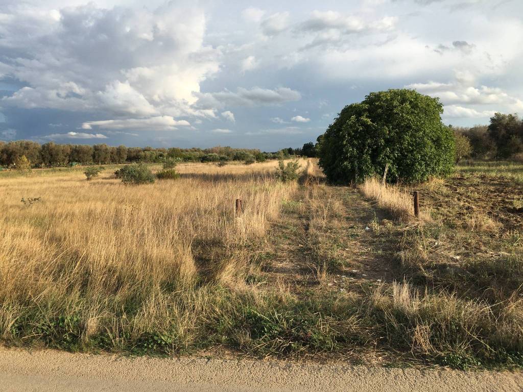 Terreno a Mesagne in Via Pizzorusso - Foto 4