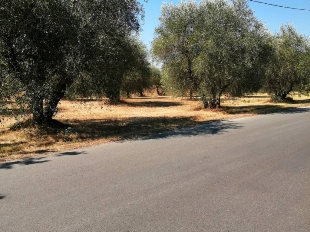 Terreno a Castiglione del lago in Località Badia - Foto 4