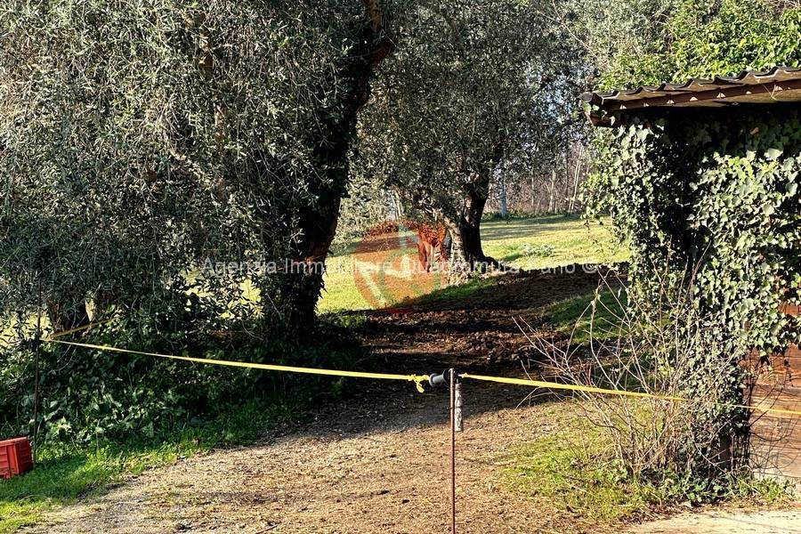 Rustico / casale a Fano in località san biagio - Foto 5