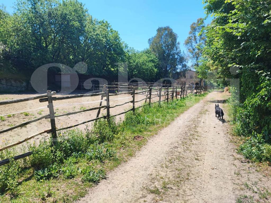 Rustico / casale a Sessa aurunca in Via Cupa Sessa - Foto 5