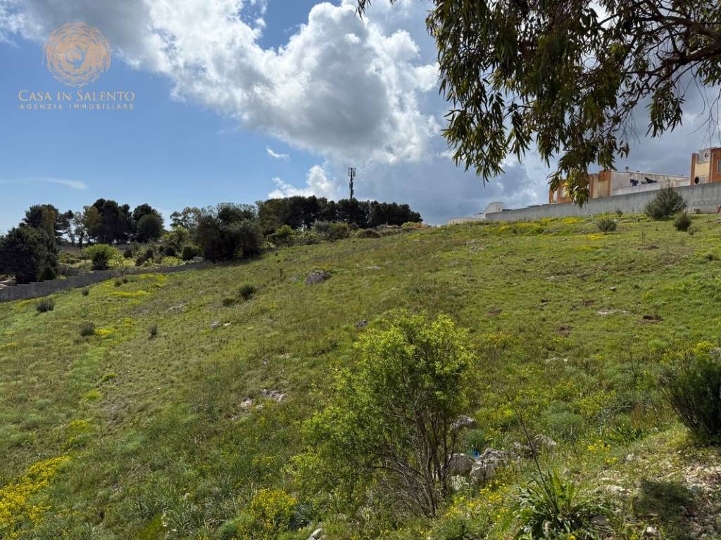 Terreno a Alessano in Via D. Monaco - Foto 3