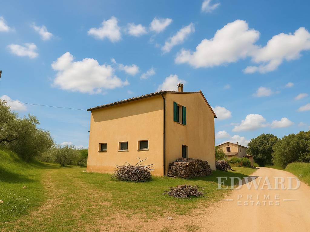 Rustico / casale a Massa marittima in Località Montebamboli - Foto 3