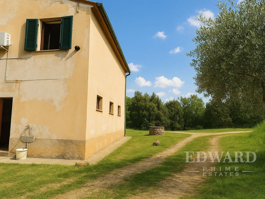 Rustico / casale a Massa marittima in Località Montebamboli - Foto 5