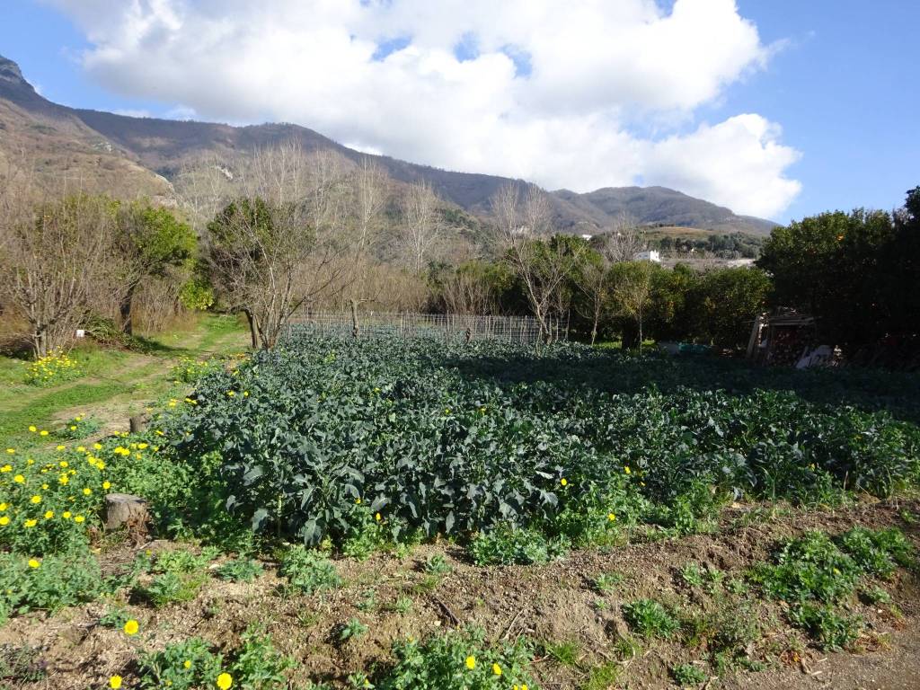 Terreno a Sarno in Via San Vito, 149 - Foto 3