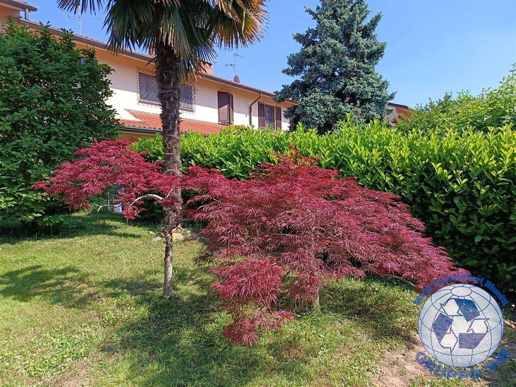 Villetta a schiera a Casatenovo in via don milani, 33 - Foto 3