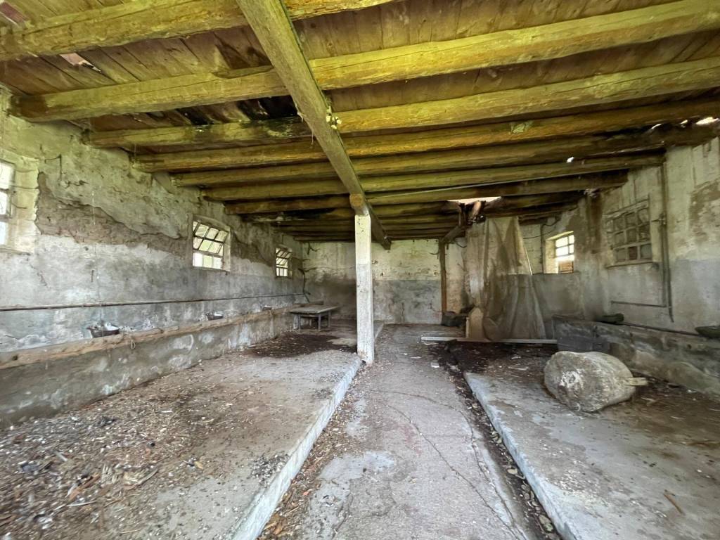 Rustico / casale a Muzzana del turgnano in Via Roma, 118 - Foto 3