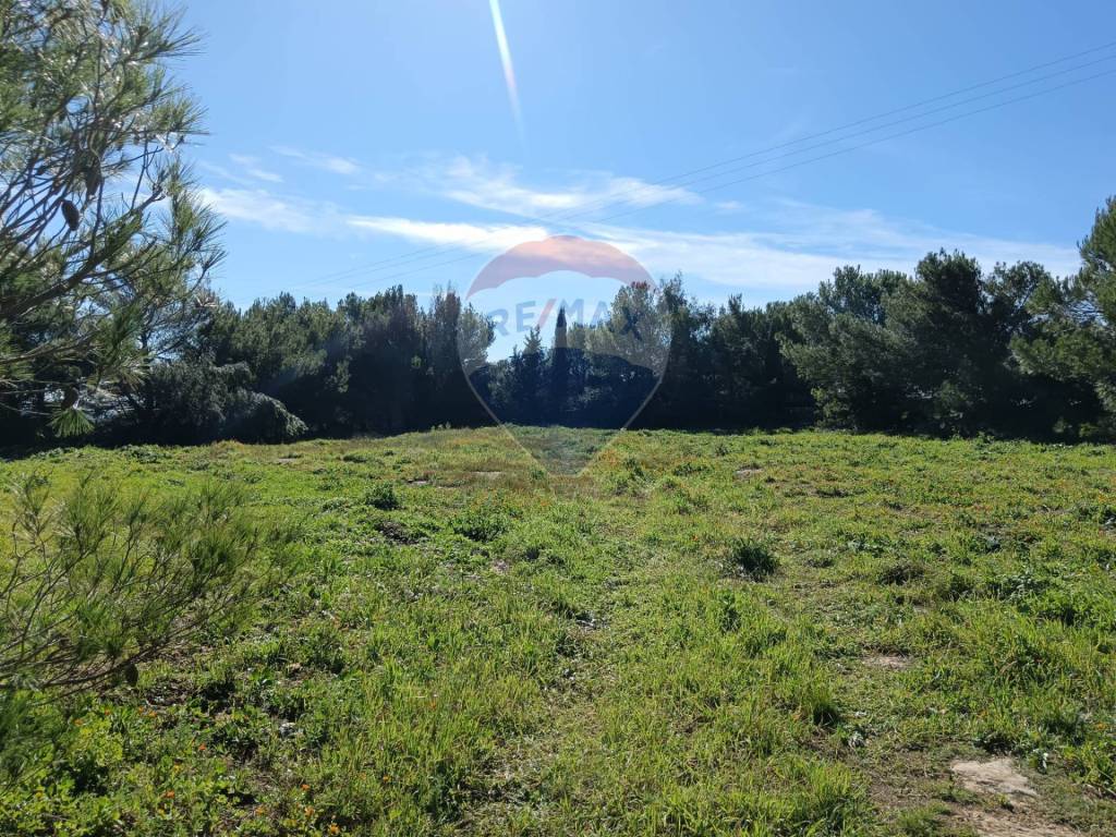 Terreno a Ragusa in contrada maltempo - Foto 3