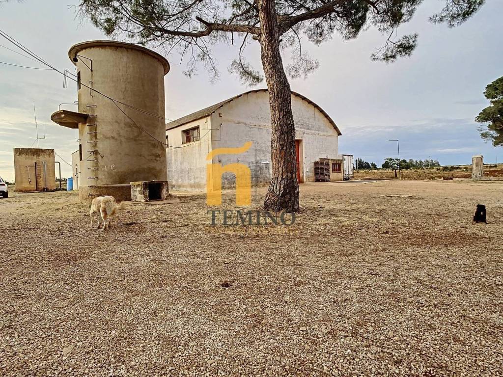 Rustico / casale a Galatina in strada vicinale guidano - Foto 3