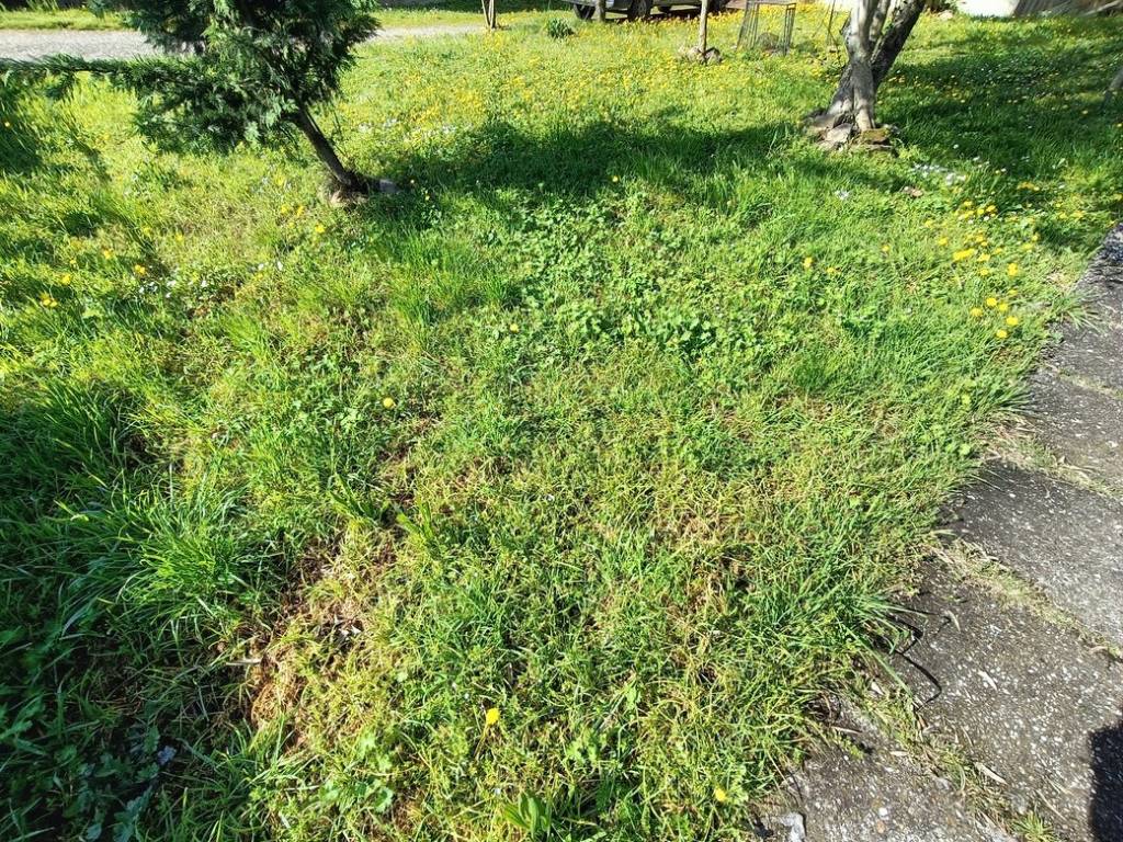 Villa a Conselice in Via Selice - Foto 5