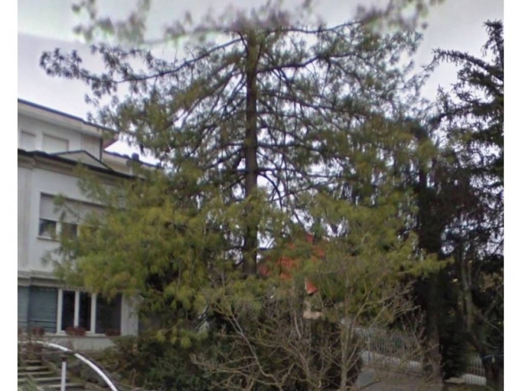 Villa a Ponte nizza - Foto 2