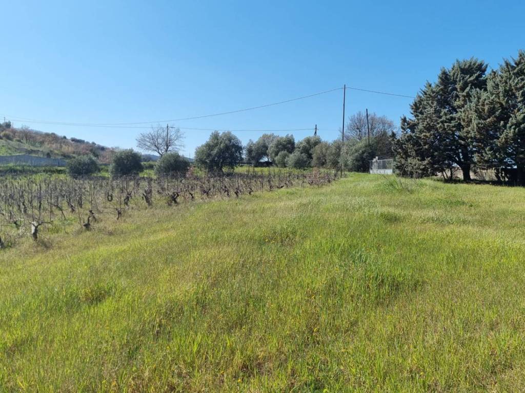 Rustico / casale a Ozieri in Localita' Casiddone - Foto 2