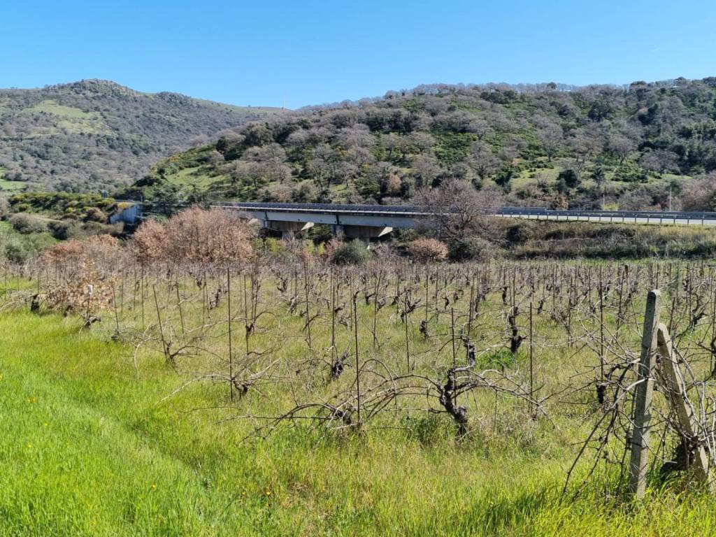 Rustico / casale a Ozieri in Localita' Casiddone - Foto 4