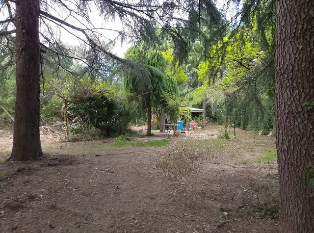Terreno a Passignano sul trasimeno - Foto 5