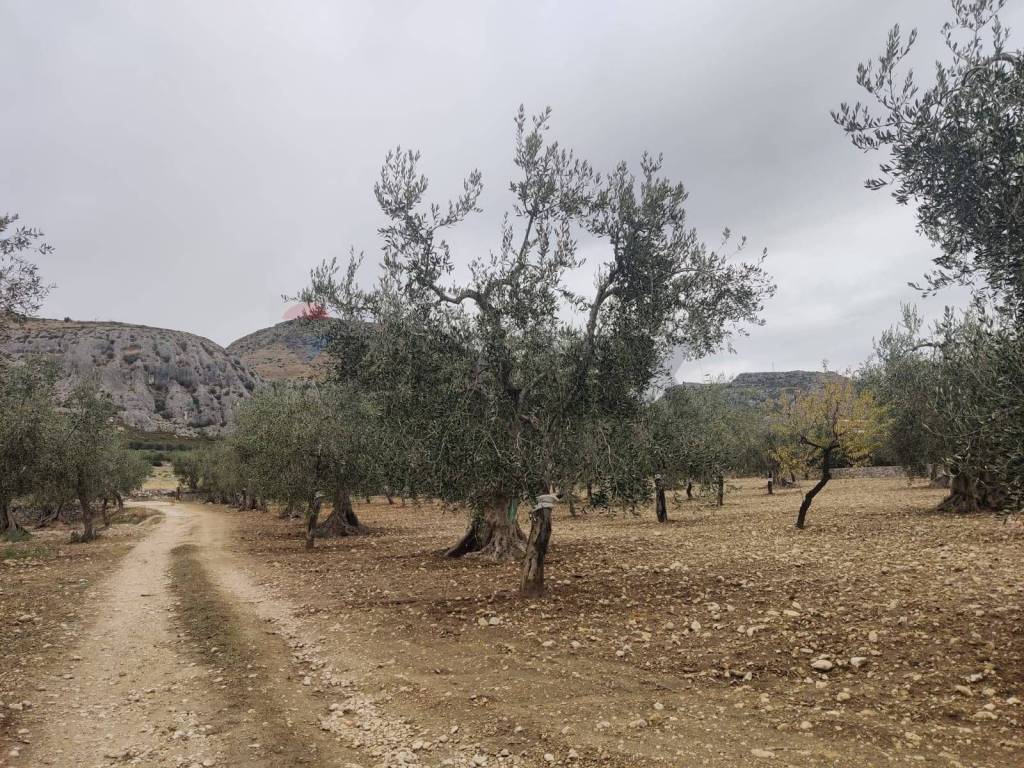 Terreno a Monte sant'angelo in Contrada Santa Lucia - MW6R+Q2F - Foto 2
