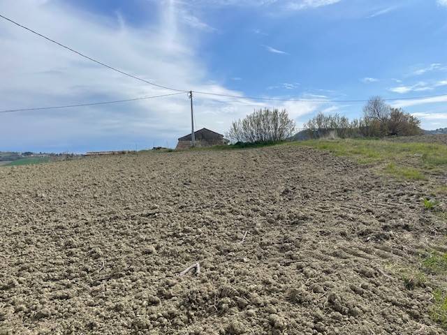 Rustico / casale a Ancona - Foto 3