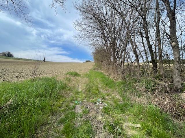 Rustico / casale a Ancona - Foto 4