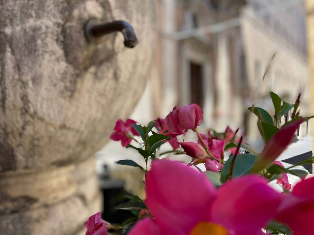 Appartamento a Arpino in Via Caio Mario, 3 - Foto 4