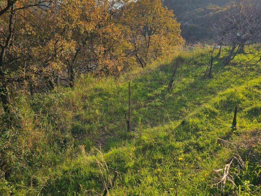 Terreno a Salerno in Via San Bartolomeo - Foto 5