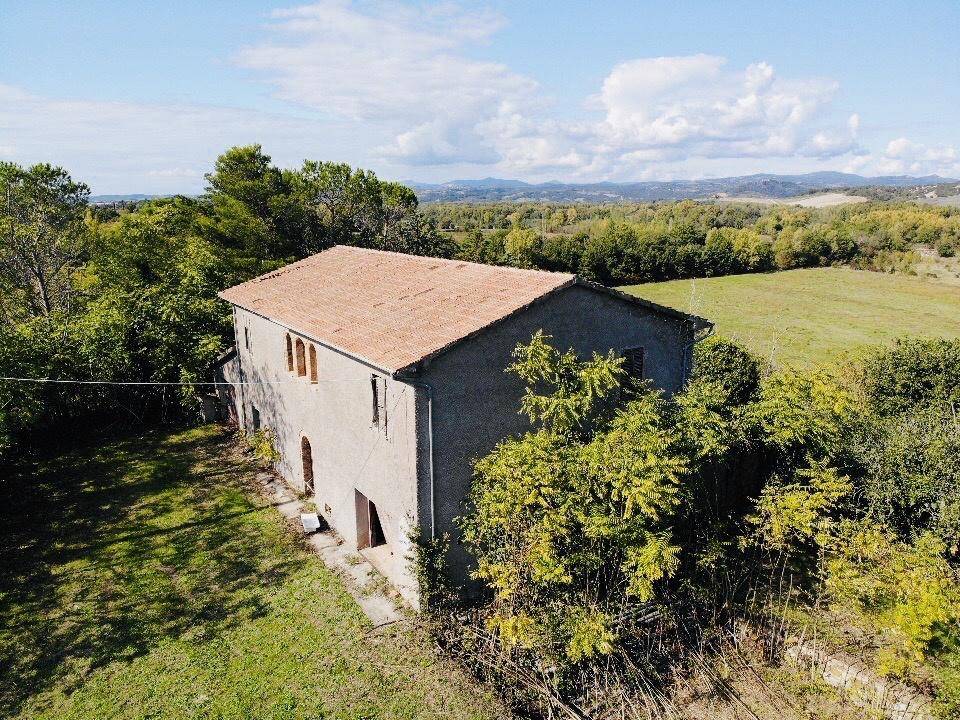 Rustico / casale a Cinigiano in Borgo Santa Rita - Foto 4