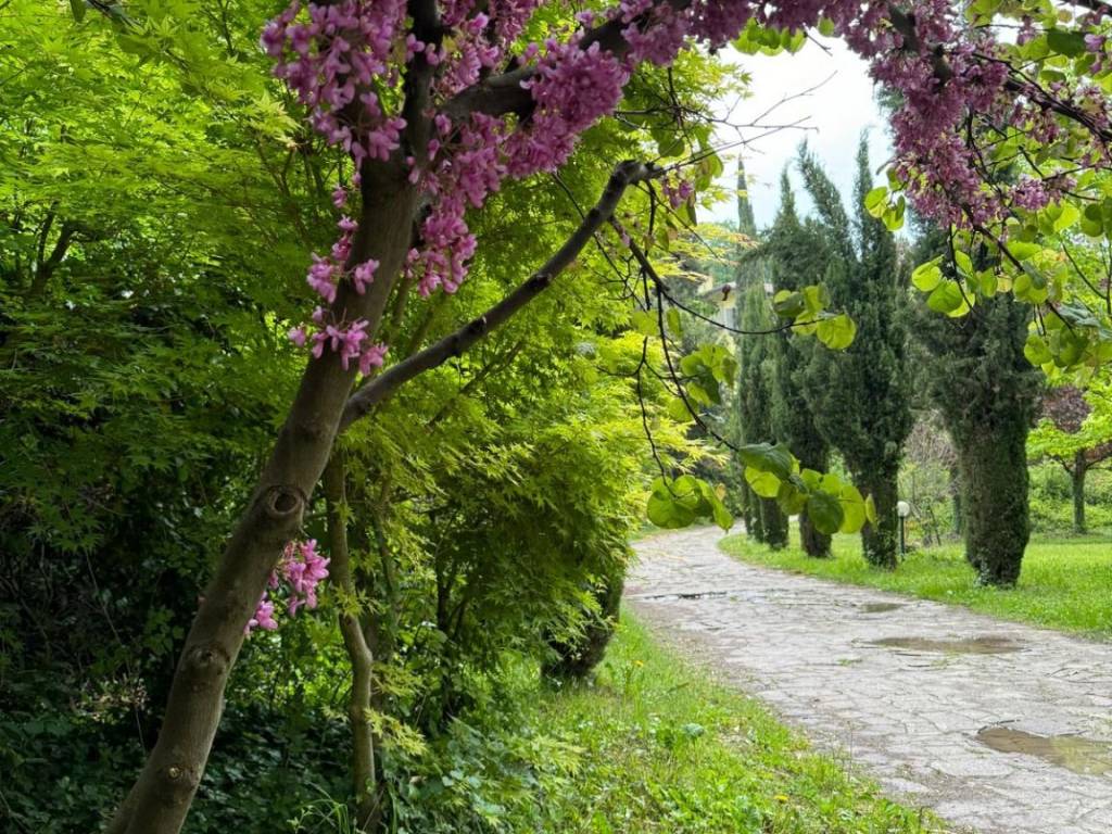 Villa a Negrar di valpolicella in Via Palazzina di Arbizzano, 7 - Foto 5