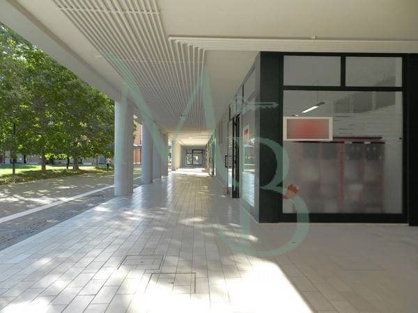 Immobile a Rubano in Via Europa - Foto 2