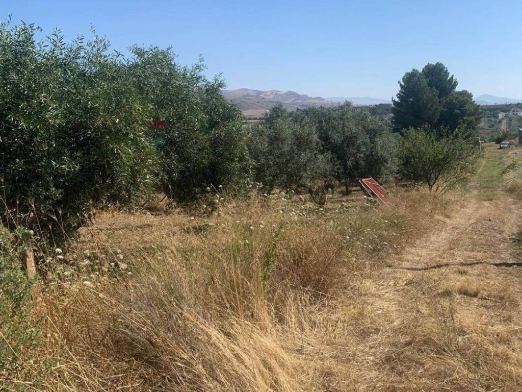 Terreno a Caltanissetta in Contrada xirbi - Foto 2