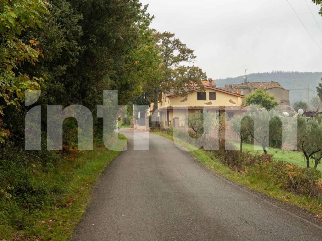 Villa a Monterotondo marittimo in strada provinciale Del Frassine - Foto 5