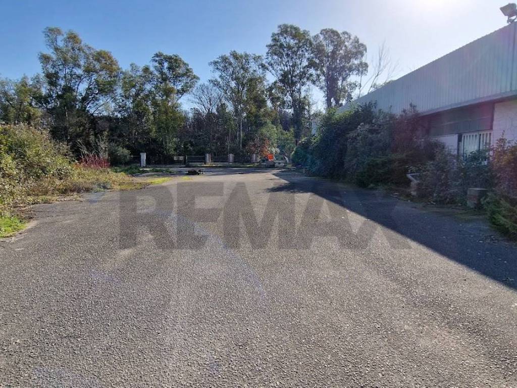 Immobile a Sabaudia - Foto 4