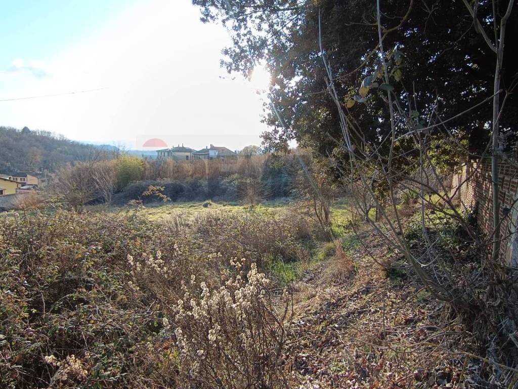 Terreno a Terranuova bracciolini in Via di Persignano - Foto 3