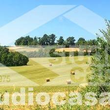 Terreno a Treviglio - Foto 3