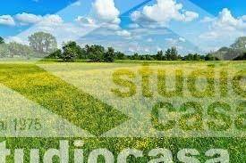 Terreno a Treviglio - Foto 5