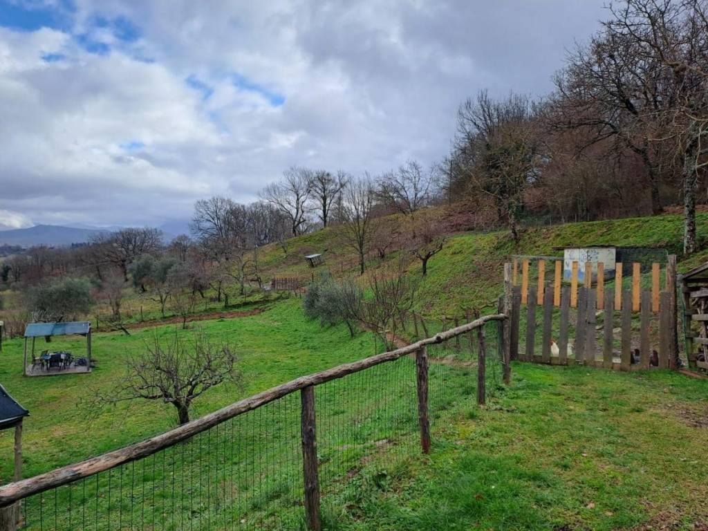 Immobile a Vicchio in vicchio - Foto 3