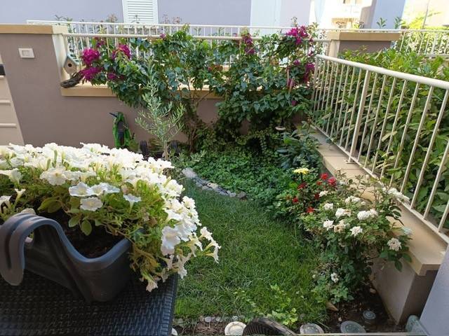 Appartamento a Castagneto carducci in Via Sandro Pertini - Foto 3