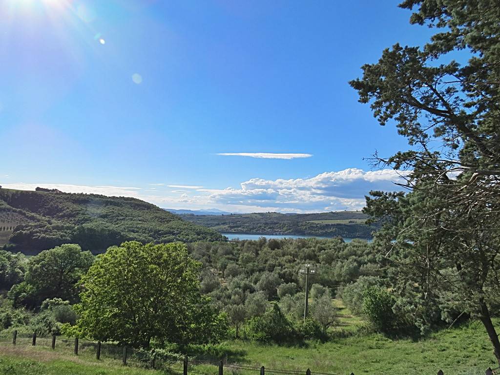 Rustico / casale a Orvieto in Località Corbara - Foto 3