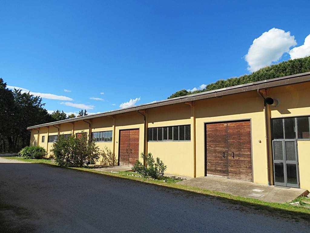 Rustico / casale a Orvieto in Località Corbara - Foto 4