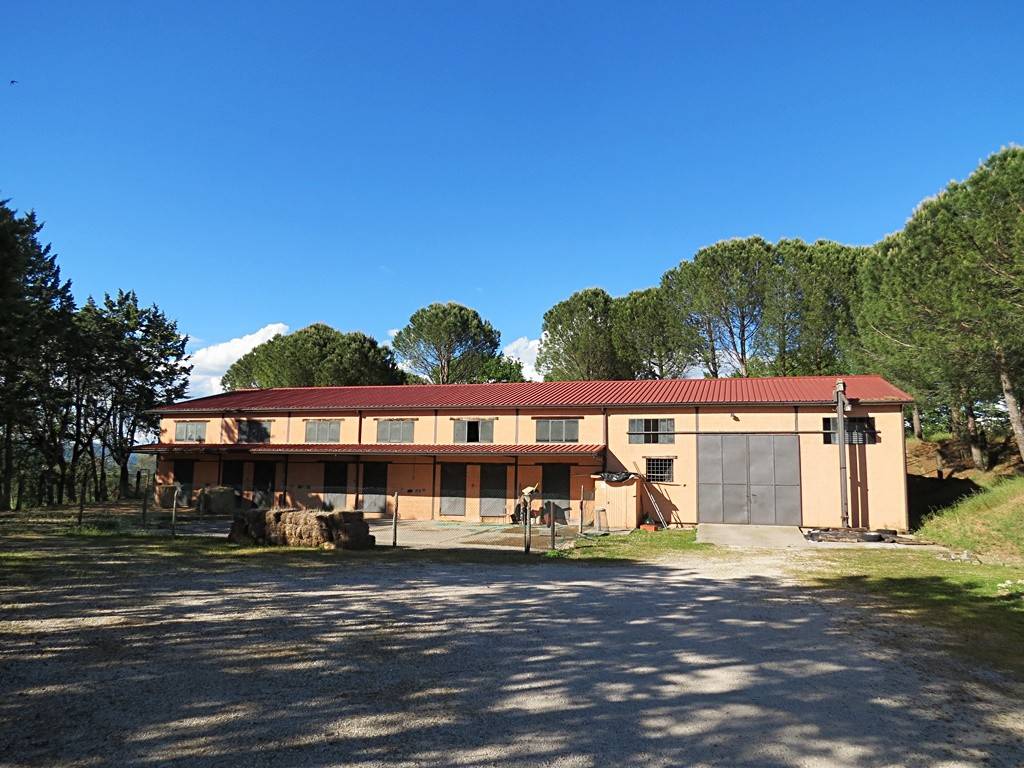 Rustico / casale a Orvieto in Località Corbara - Foto 5